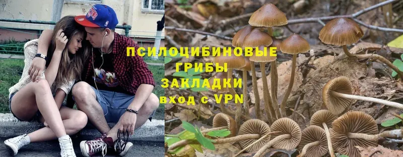 ссылка на мегу зеркало  Кинешма  Галлюциногенные грибы ЛСД 